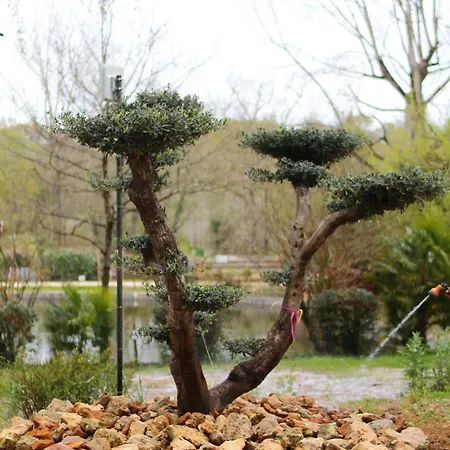 Les Rives De Courtes Kemp *